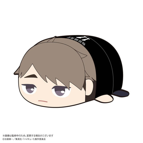『ハイキュー!!』HQ-87 ぽてコロマスコット Msize3 D 宮治